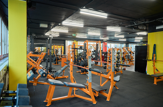 Hantelbank Krafttraining
