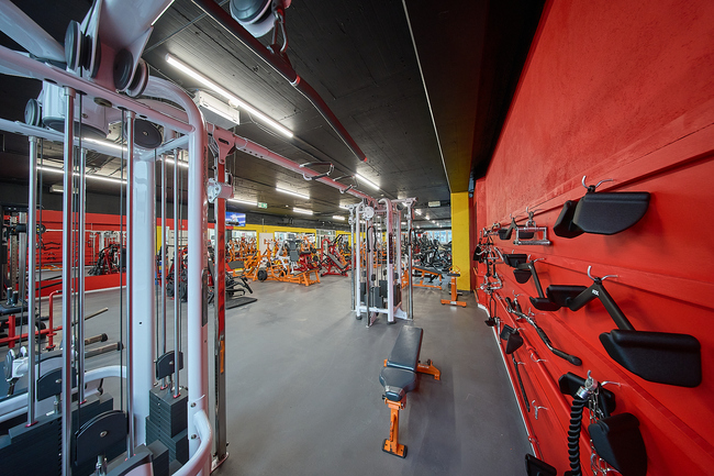 Kabelzugstation Functional Training