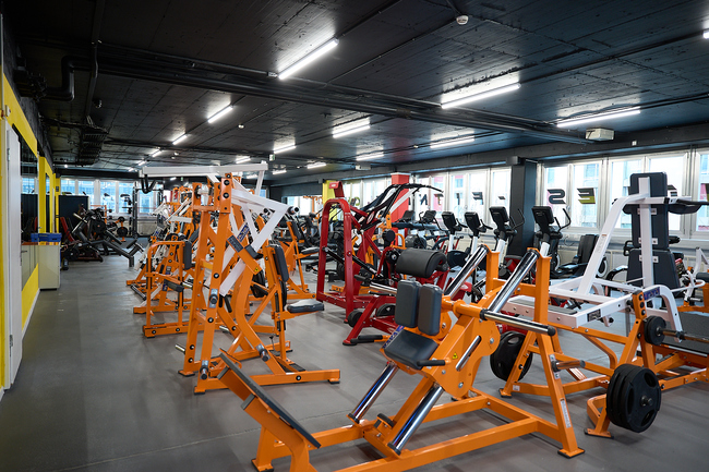Cardio- und Kraftbereich