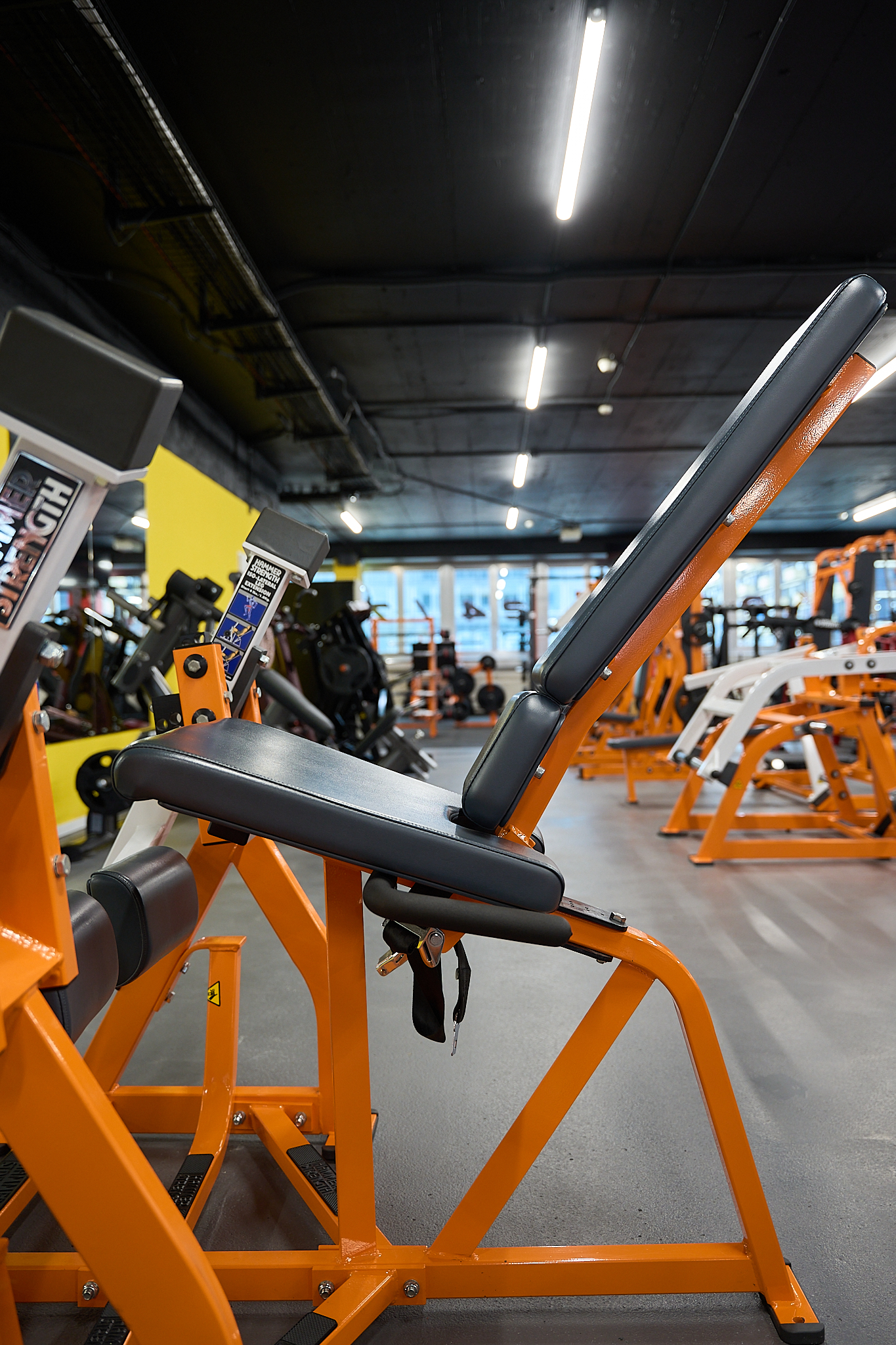 Leg Extension Maschine